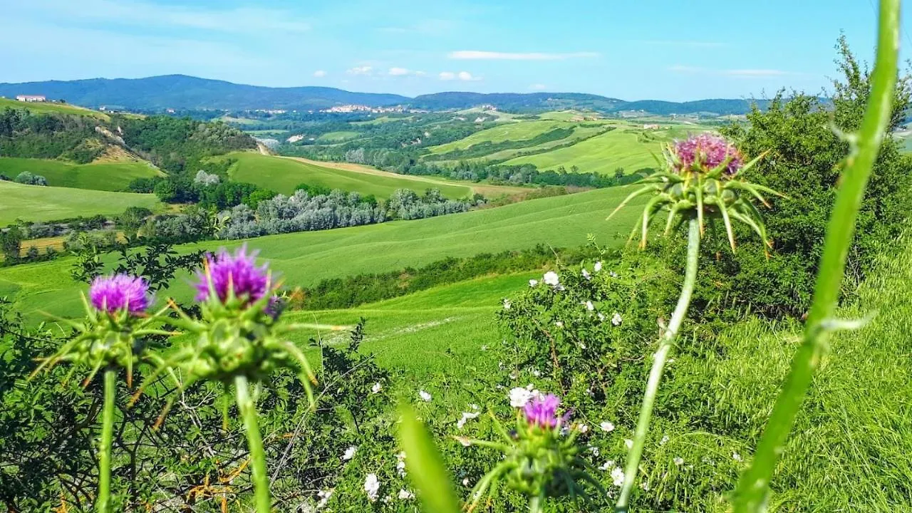 Bed & Breakfast Casa Soleluna B&B Cortona Italia